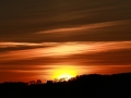 IMG_0067e