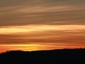 IMG_0085e