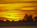 DSC08170.jpg