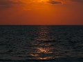 sunset port 11