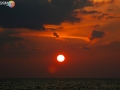 sunset port 12