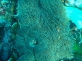 20181206_075346
