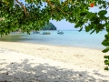 surin 40