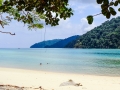 surin 42