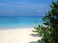 tachai island 13