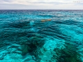 tachai island 16