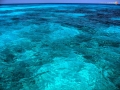 tachai island 3