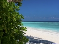 tachai island 5