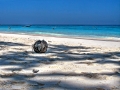 tachai island 8