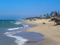img_2971_5856746070_oe