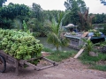 img_3382_5878072168_oe