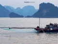 vietnam 4