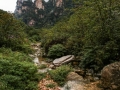 China (47)e