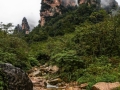 China (48)e