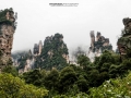 China (49)e