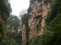 China (50)e