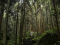 zhangjiajie 1