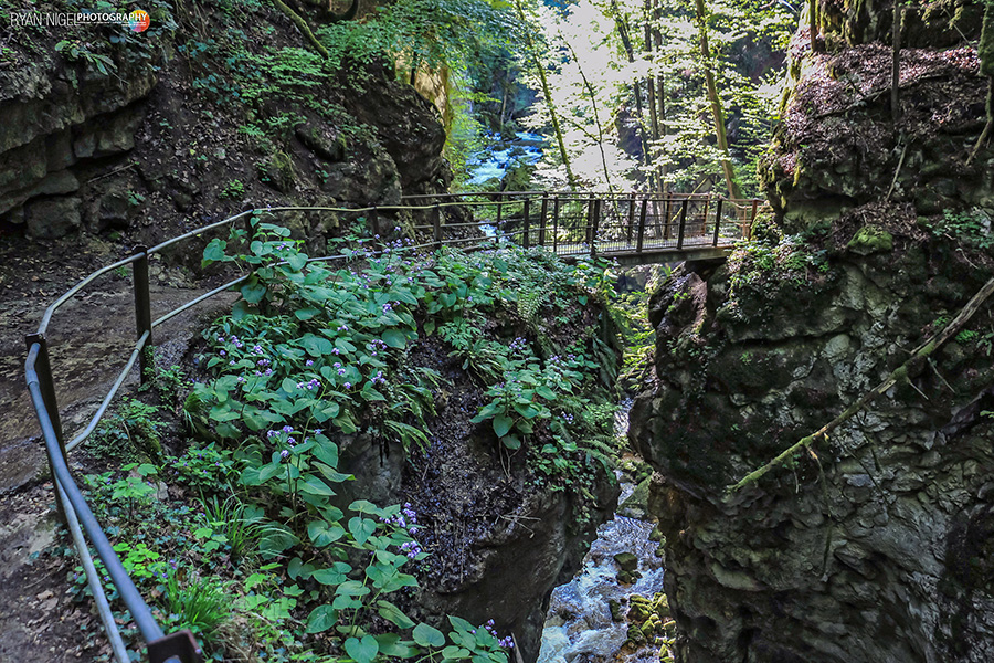 Gorges Areuse Pont De Clees – Ryannigelphotography.com