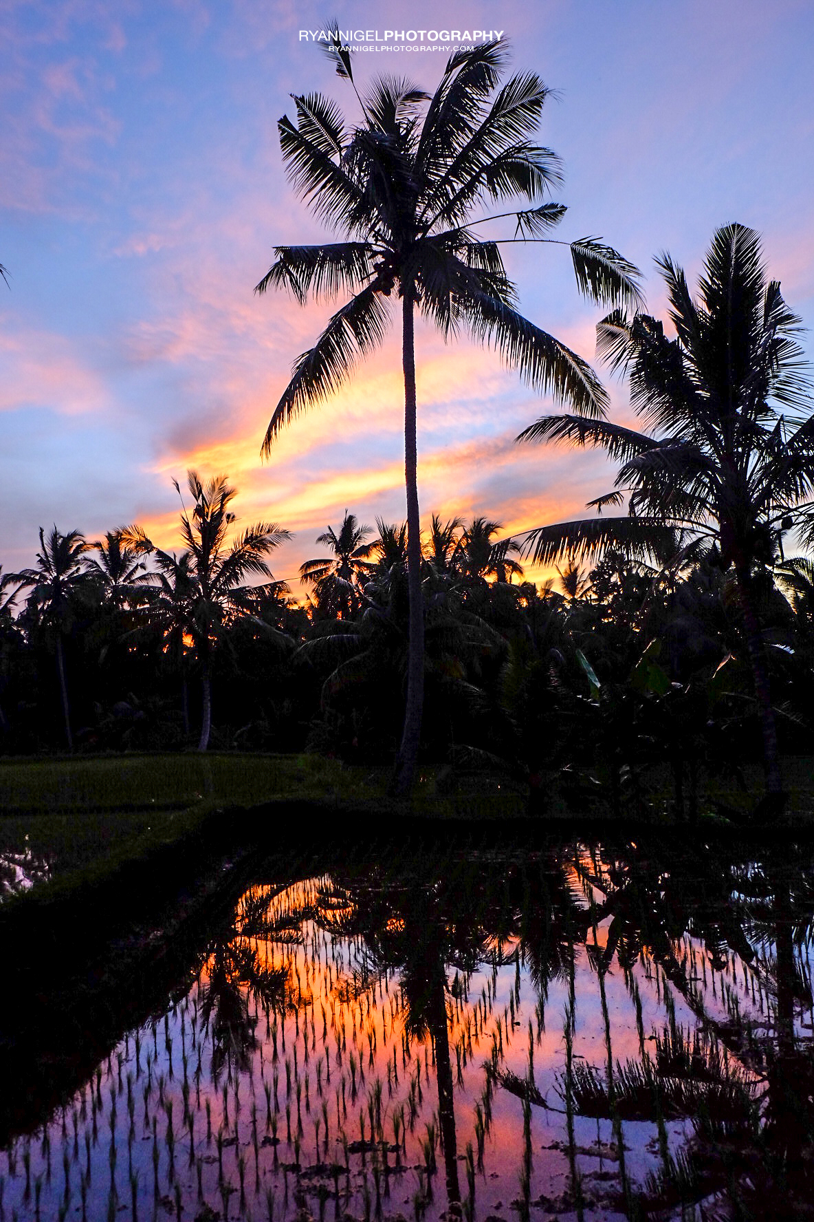 Sunrise in Ubud Bali – ryannigelphotography.com