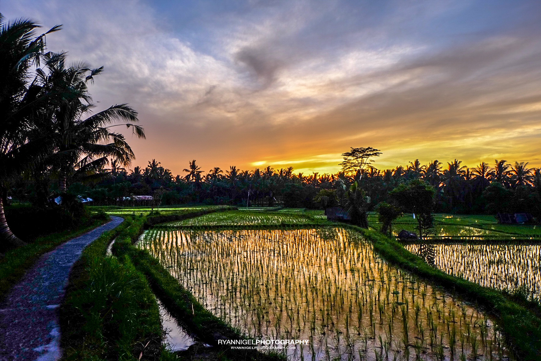 Sunrise in Ubud Bali – ryannigelphotography.com